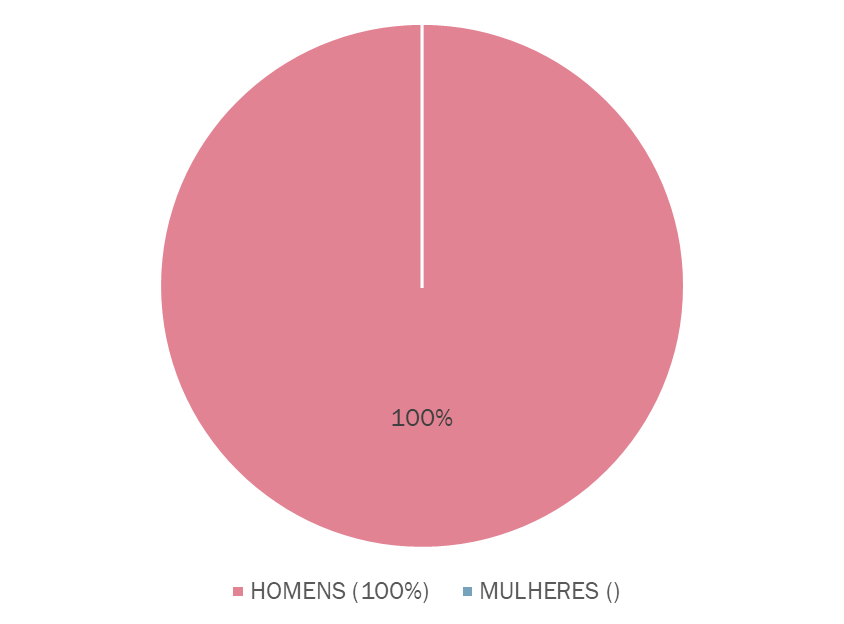 image-11 Sub-representação feminina na Câmara Municipal de Colônia Leopoldina (AL)