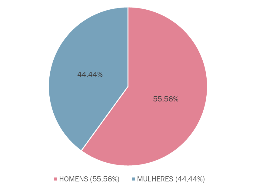 image-19 Sub-representação feminina na Câmara Municipal de Colônia Leopoldina (AL)