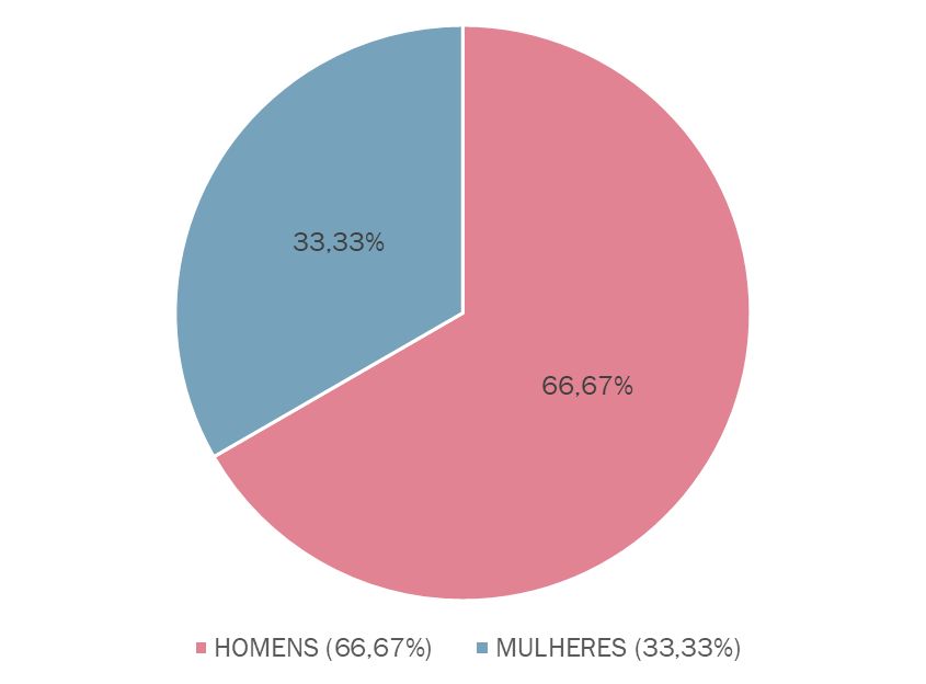 image-23 Sub-representação feminina na Câmara Municipal de Colônia Leopoldina (AL)