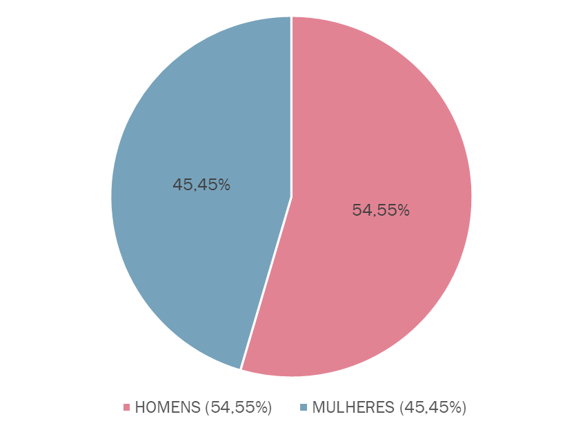 image-29 Sub-representação feminina na Câmara Municipal de Colônia Leopoldina (AL)