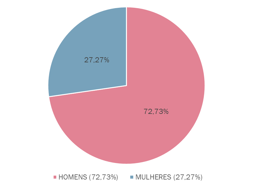image-31 Sub-representação feminina na Câmara Municipal de Colônia Leopoldina (AL)